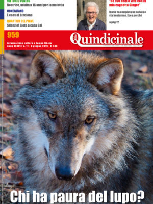 Il Quindicinale n. 11 del 2019