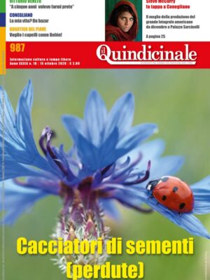 Il Quindicinale n. 18 del 2020