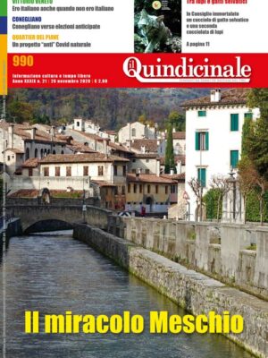 Il Quindicinale n. 21 del 2020