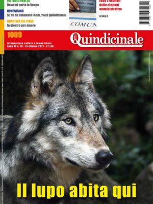 Il Quindicinale n. 18 del 2021