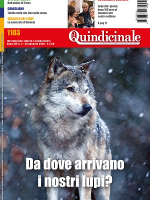 Il Quindicinale n. 2 del 2026