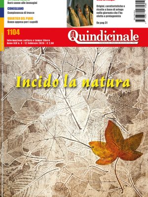 Il Quindicinale n. 3 del 2026