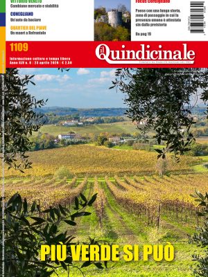 Il Quindicinale n. 8 del 2026