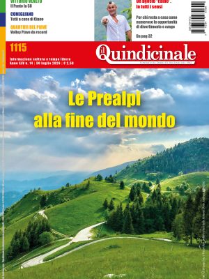 Il Quindicinale n. 14 del 2026